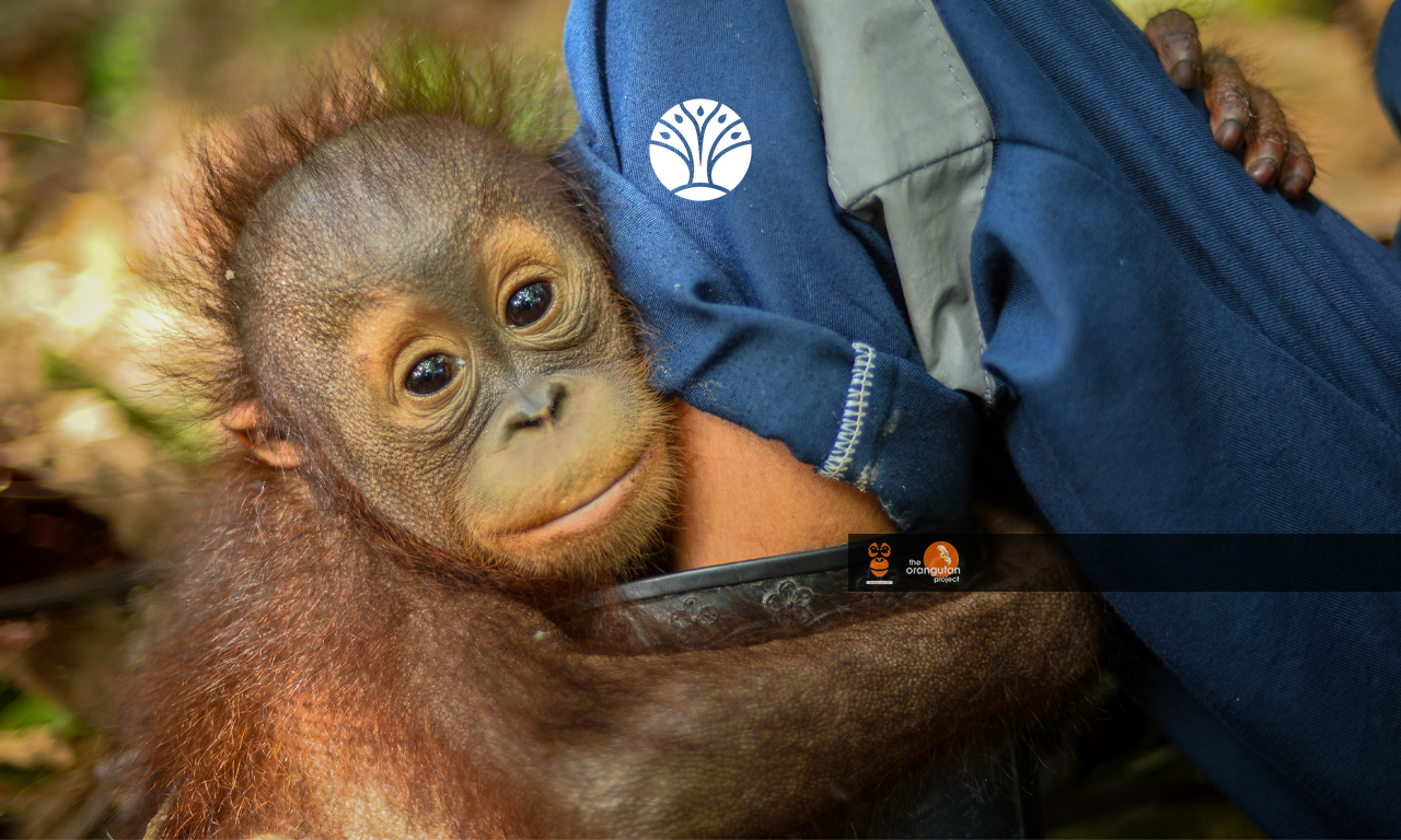 Bersama BOora Animal: Menghiasi Hari dengan Layanan yang Handal